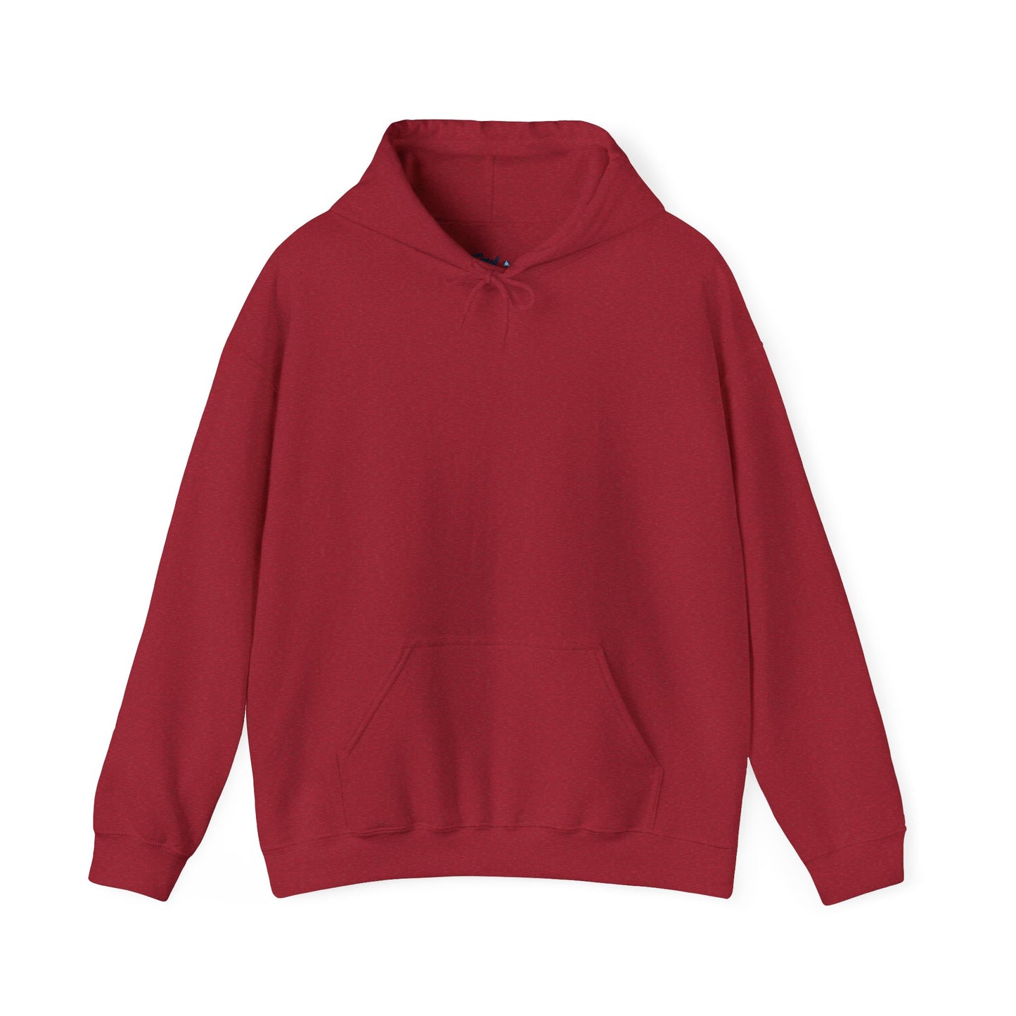 Subliminal Messages from Shamayim Hoodie