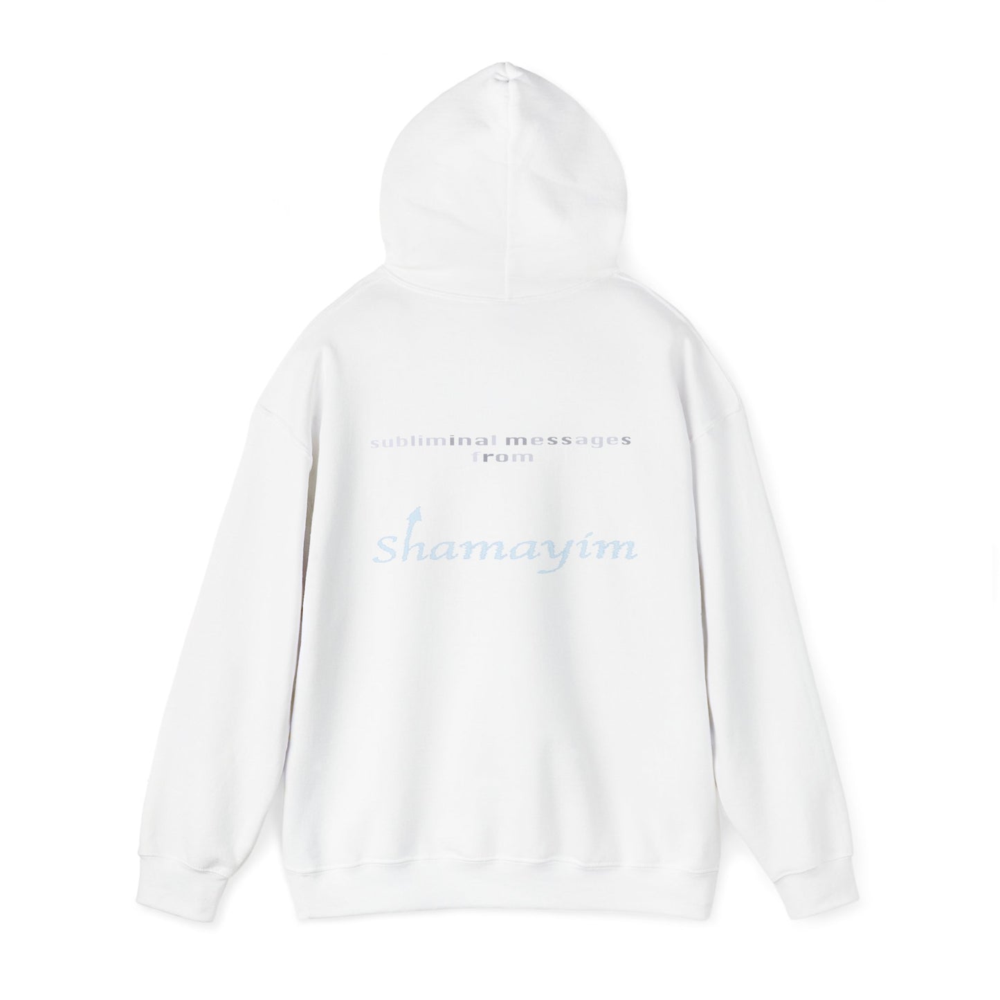 Subliminal Messages from Shamayim Hoodie