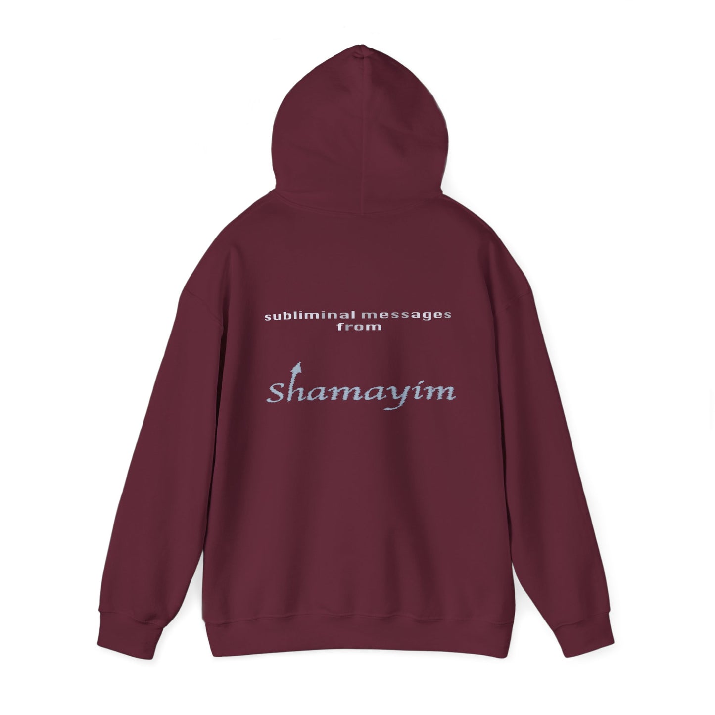 Subliminal Messages from Shamayim Hoodie
