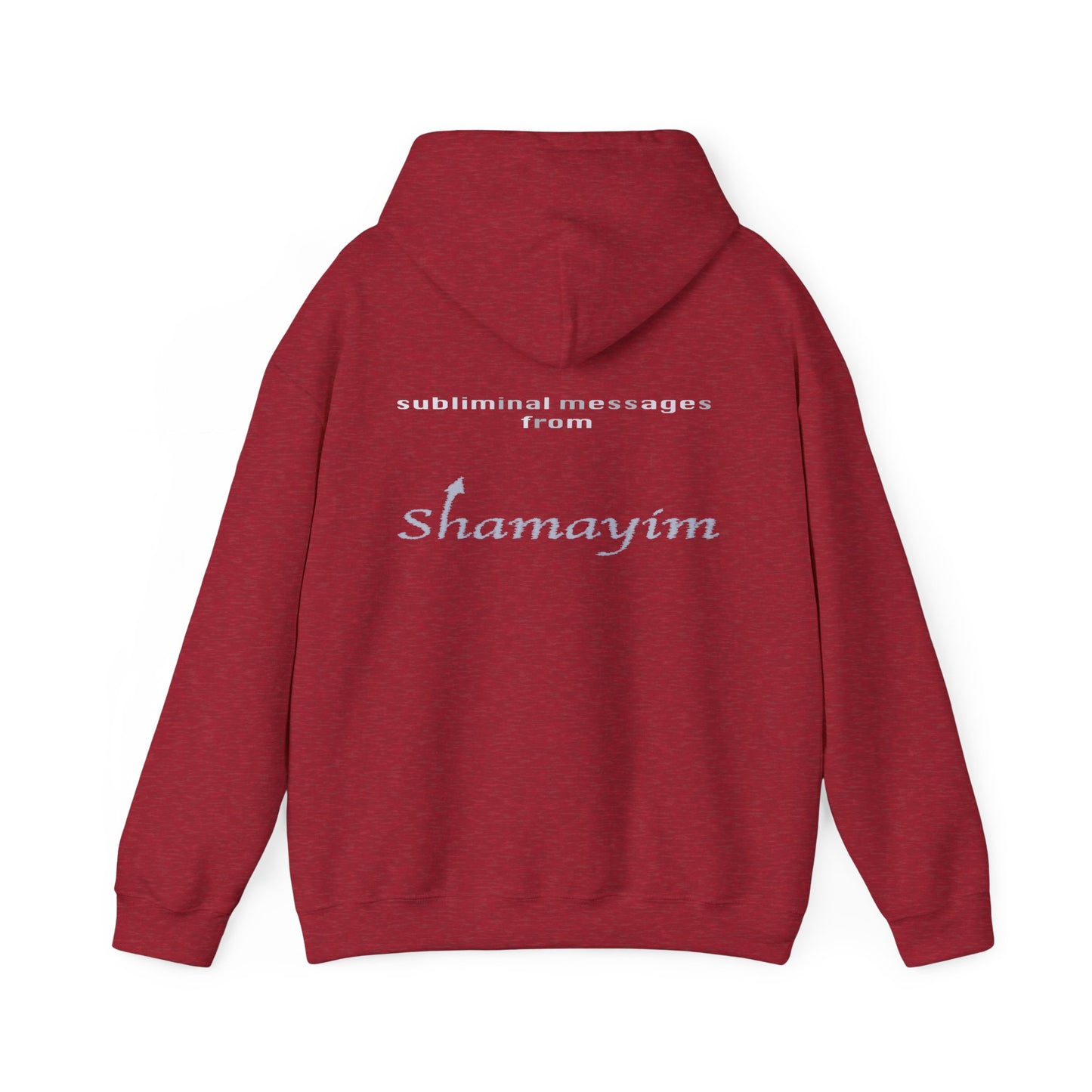 Subliminal Messages from Shamayim Hoodie