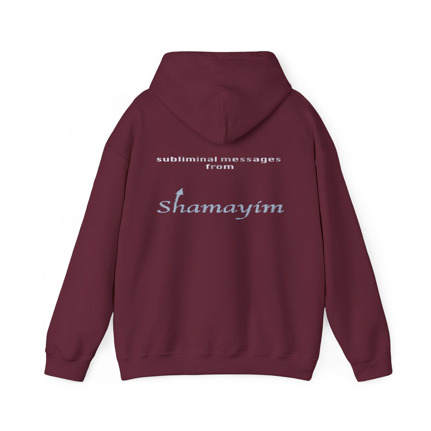 Subliminal Messages from Shamayim Hoodie