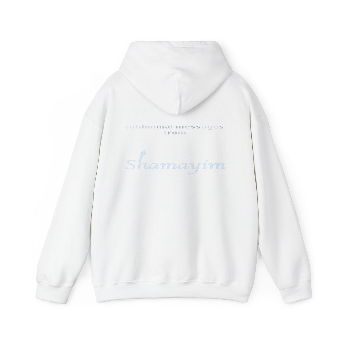 Subliminal Messages from Shamayim Hoodie