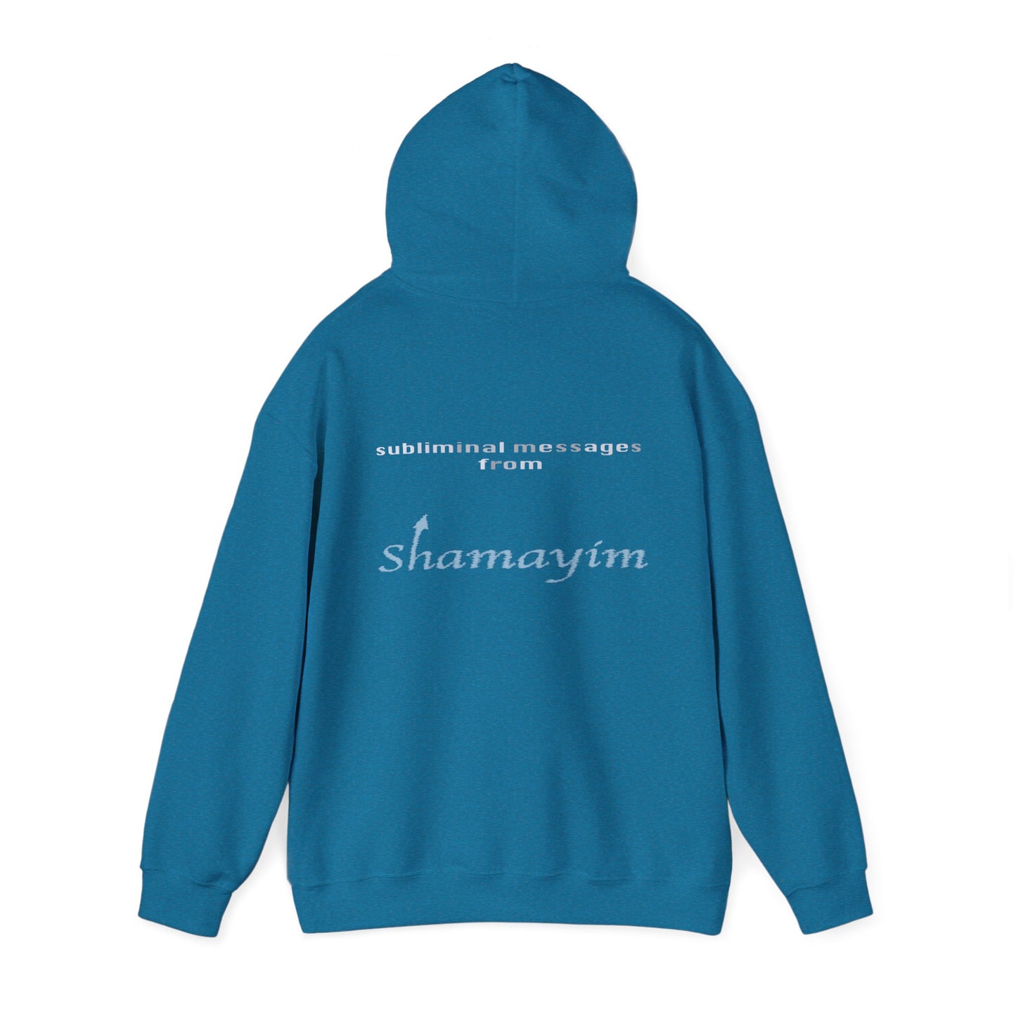 Subliminal Messages from Shamayim Hoodie