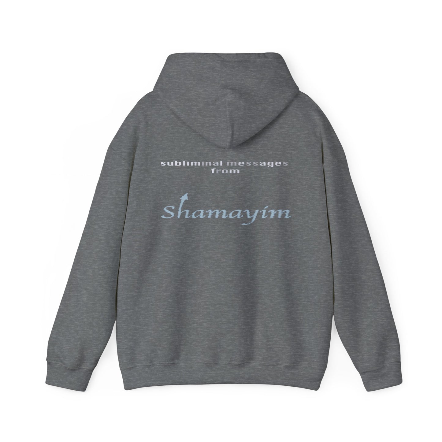 Subliminal Messages from Shamayim Hoodie
