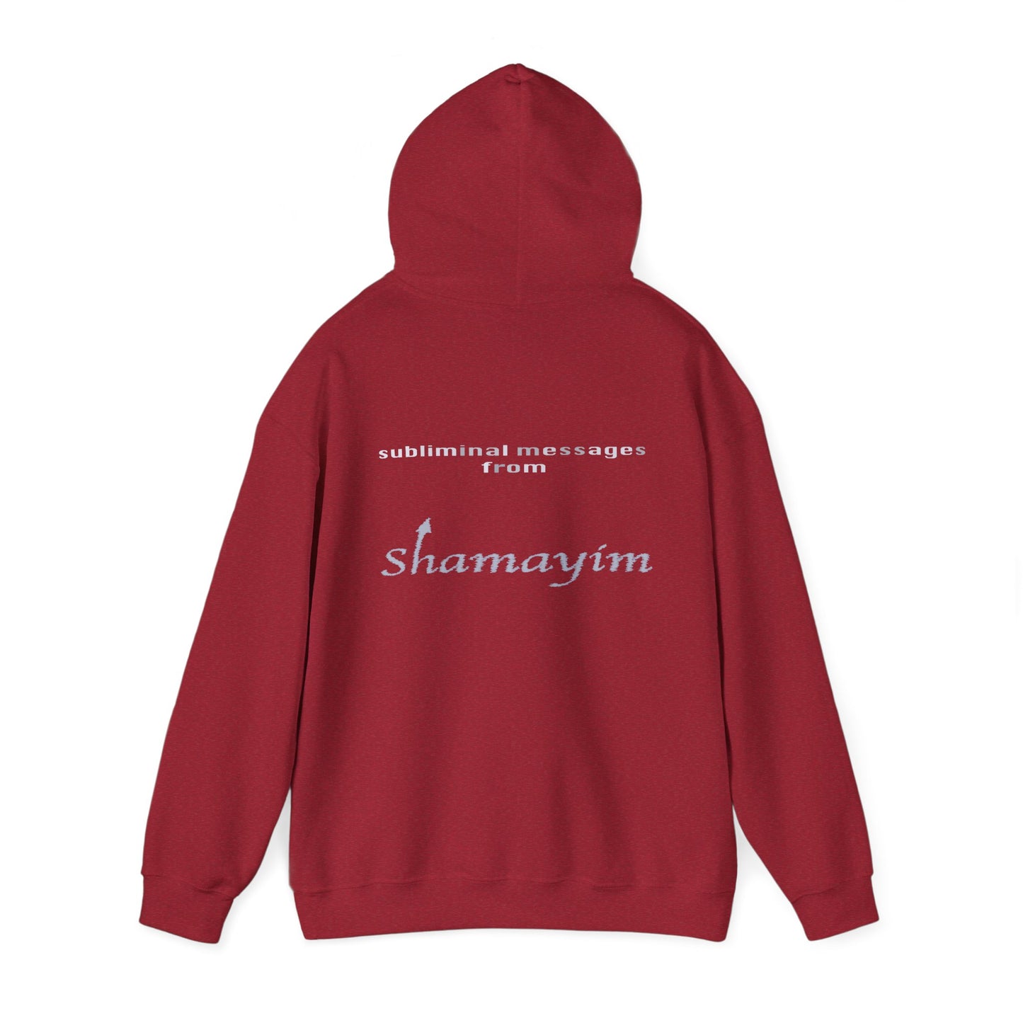 Subliminal Messages from Shamayim Hoodie