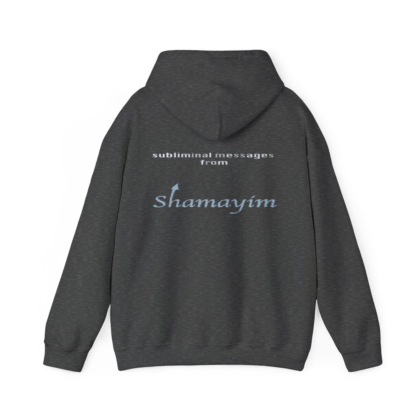 Subliminal Messages from Shamayim Hoodie