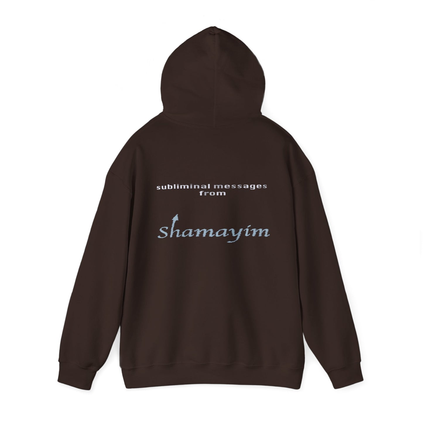 Subliminal Messages from Shamayim Hoodie