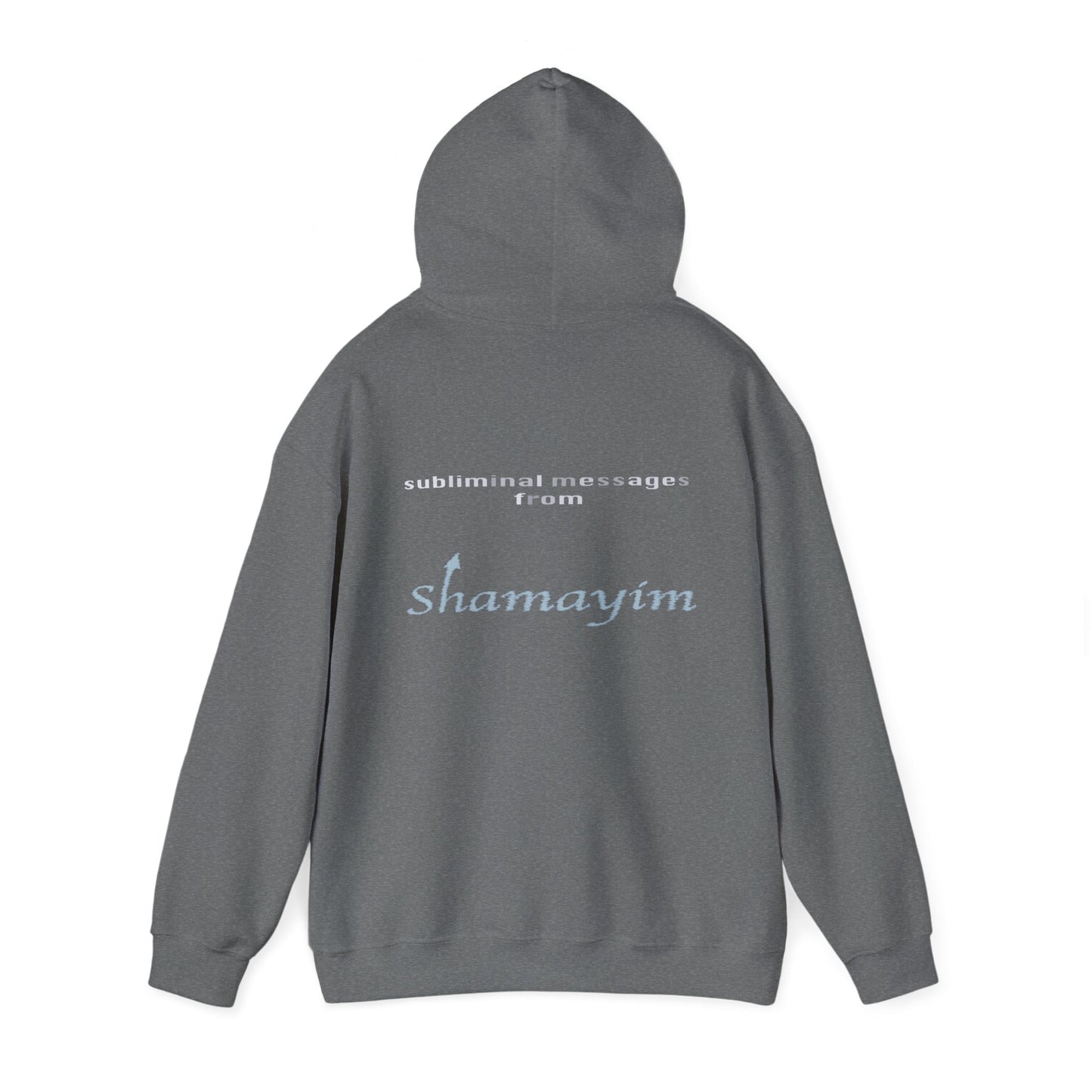 Subliminal Messages from Shamayim Hoodie
