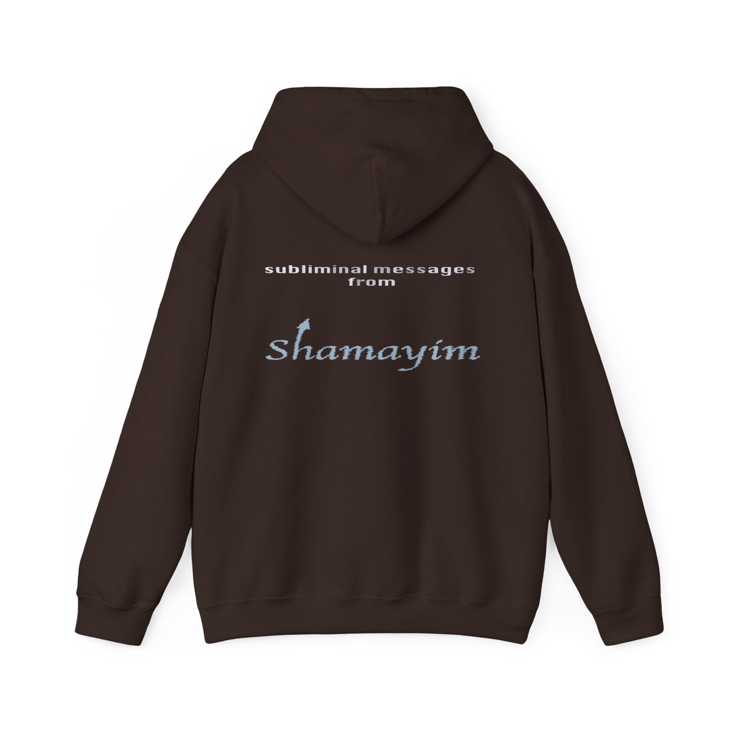 Subliminal Messages from Shamayim Hoodie