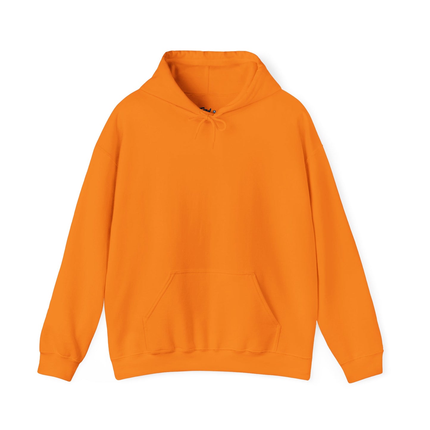Subliminal Messages from Shamayim Hoodie