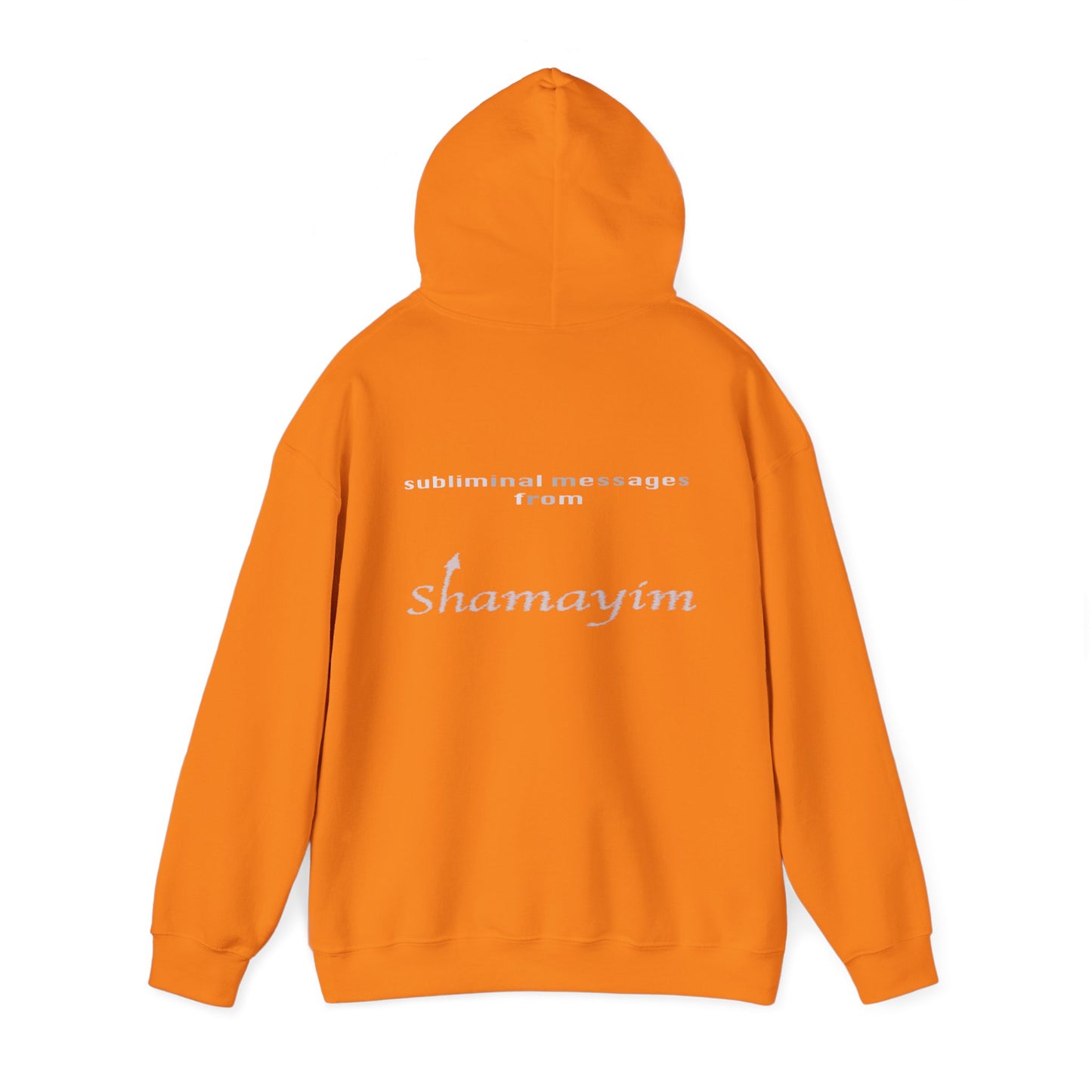 Subliminal Messages from Shamayim Hoodie
