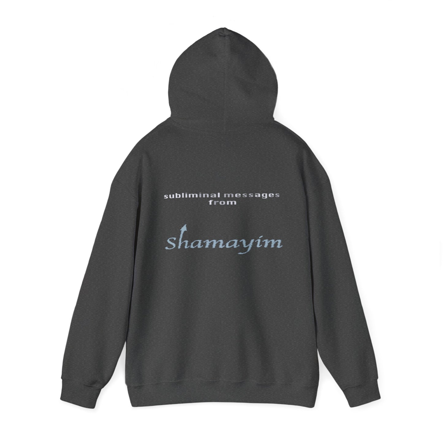 Subliminal Messages from Shamayim Hoodie